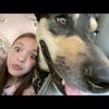 abriella_h